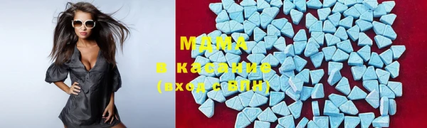 индика Алексин