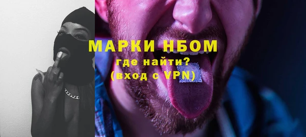 индика Алексин