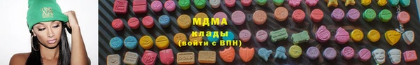 индика Алексин