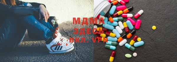 индика Алексин
