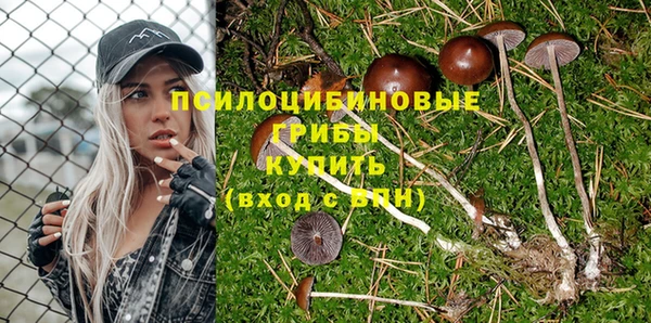 шишки Алзамай