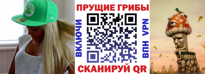закладки  Мещовск  Псилоцибиновые грибы Psilocybe 
