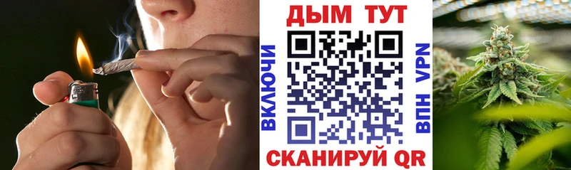 Бошки Шишки семена где найти наркотики Мещовск